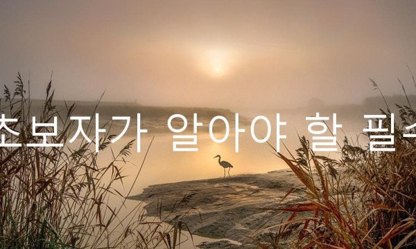 b3d2eeca4f00be60faf736d203a3cb5f_1738233767_9585.jpg